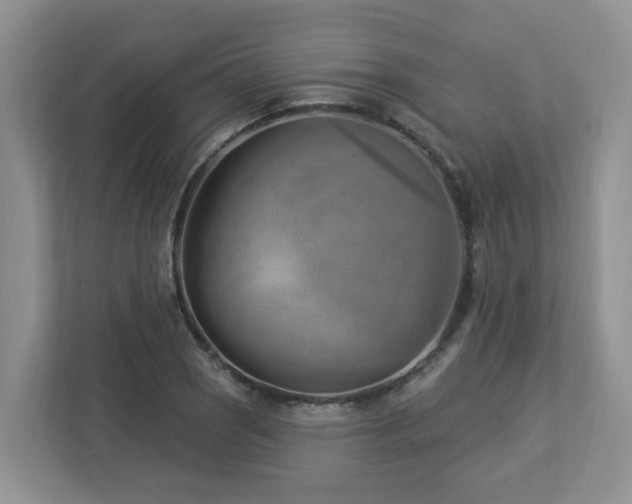 X0000112921121200908241221