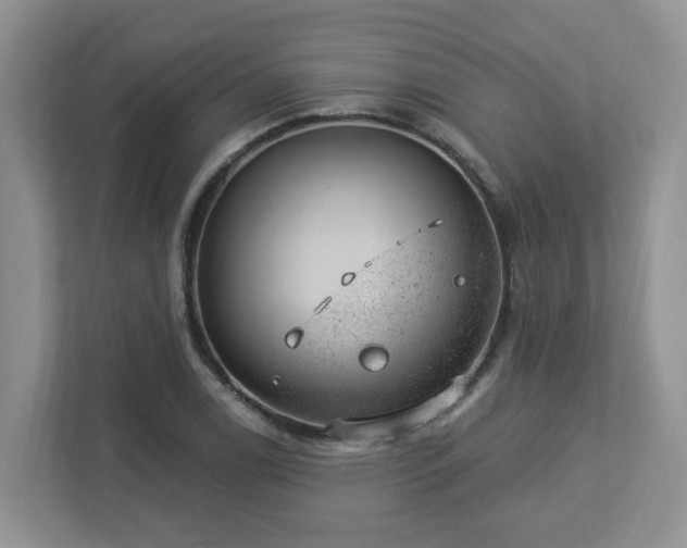 X0000112921122200908241221
