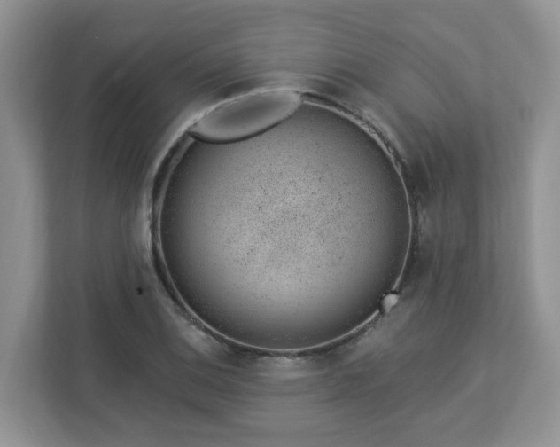 X0000112921124200908241221