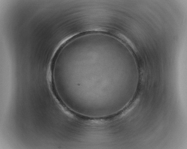 X0000112921125200908241221