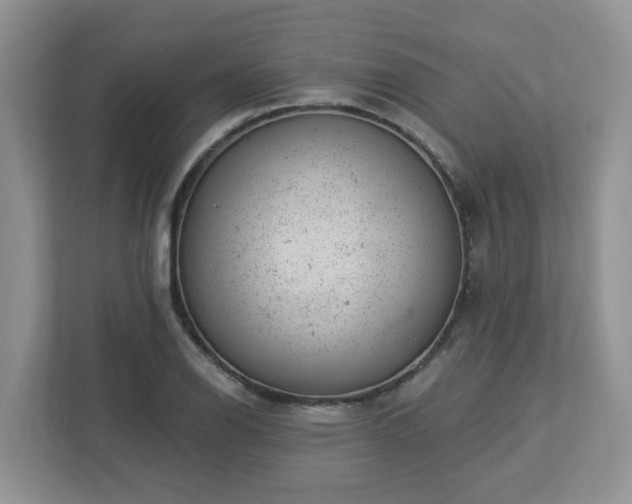 X0000112921126200908241221