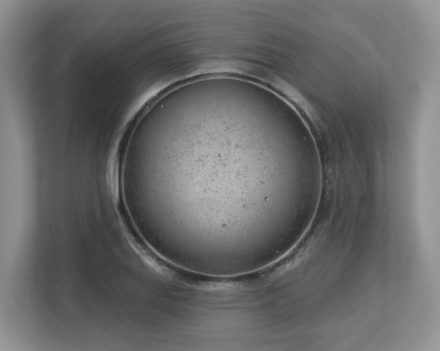 X0000112921127200908241221