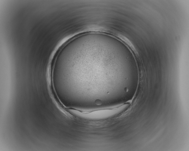 X0000112921128200908241221