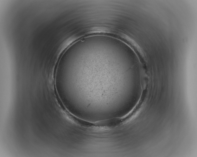 X0000112921129200908241221