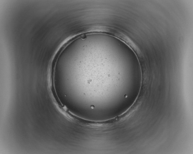 X0000112921132200908241221