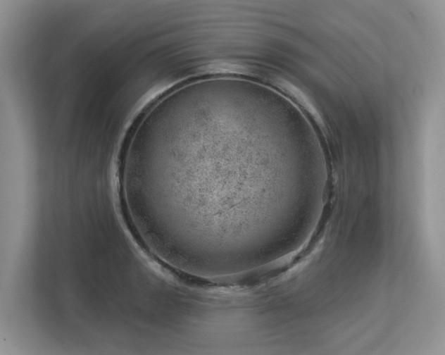 X0000112921133200908241221