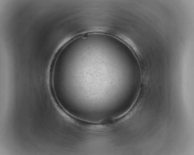 X0000112921135200908241221