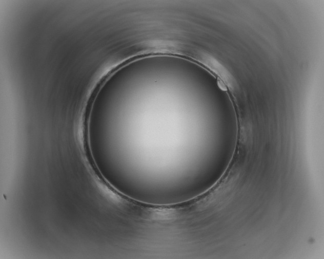 X0000112921136200908241221