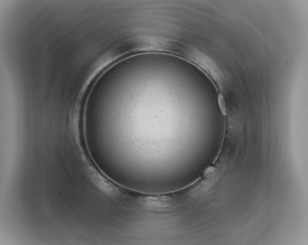 X0000112921138200908241221