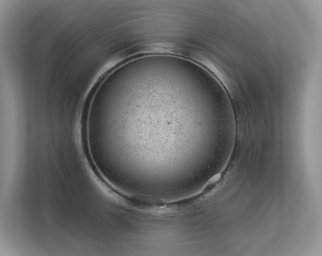 X0000112921139200908241221