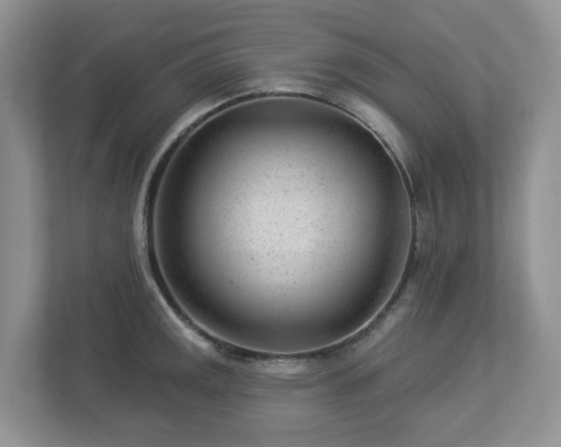 X0000112921141200908241221