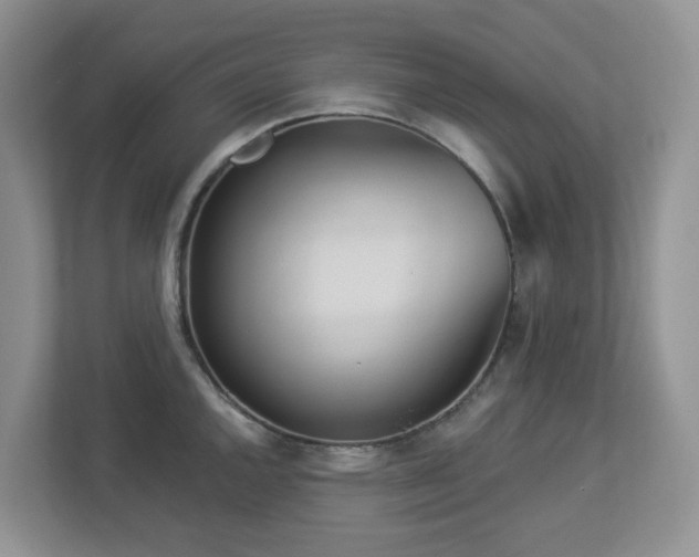 X0000112921144200908241221