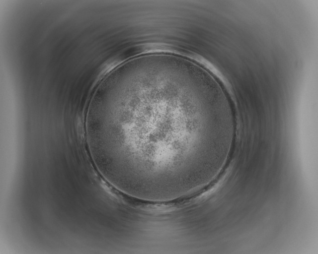 X0000112921145200908241221
