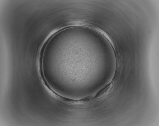 X0000112921147200908241221
