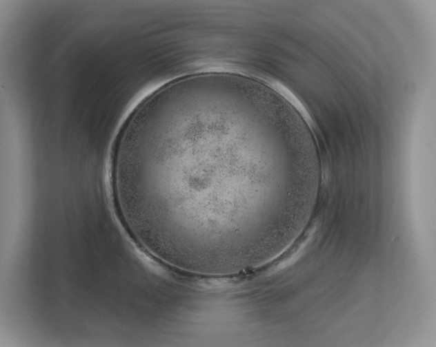 X0000112921149200908241221