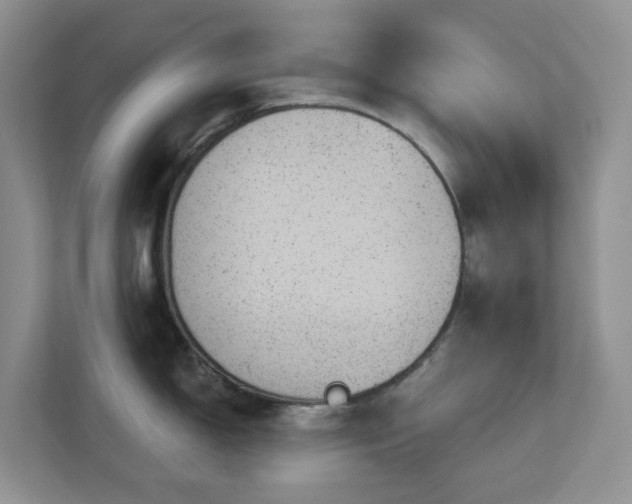 X0000112921150200908241221