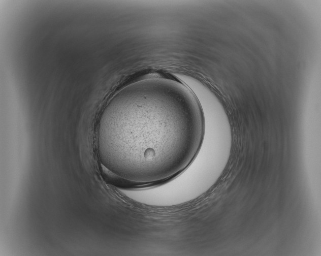 X0000112921153200908241220