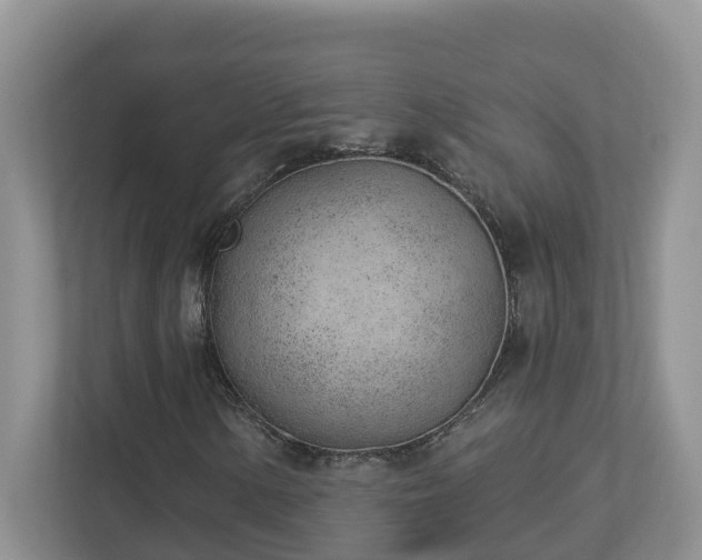 X0000112921154200908241220