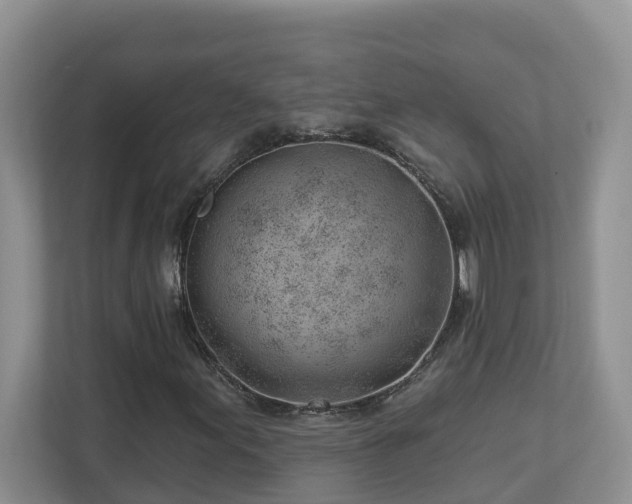 X0000112921155200908241220