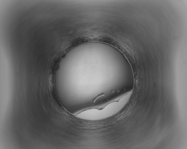 X0000112921156200908241220