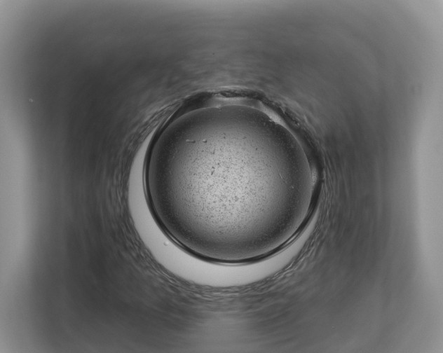 X0000112921157200908241220
