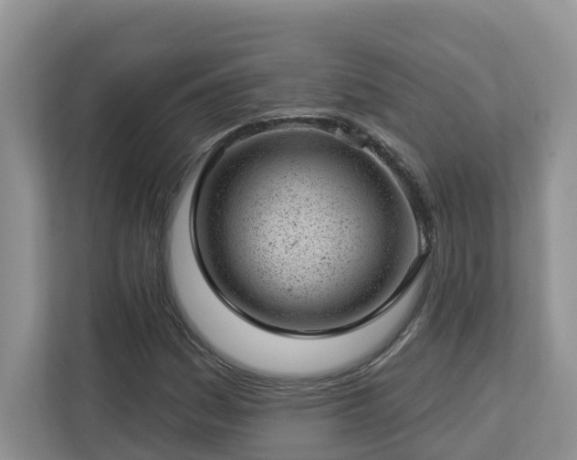 X0000112921161200908241220