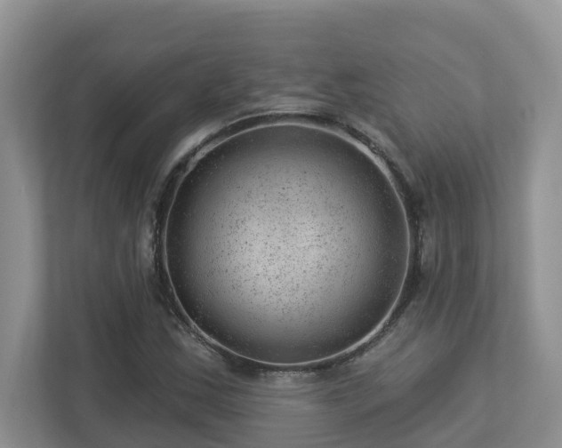 X0000112921163200908241220