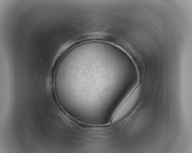 X0000112921164200908241220