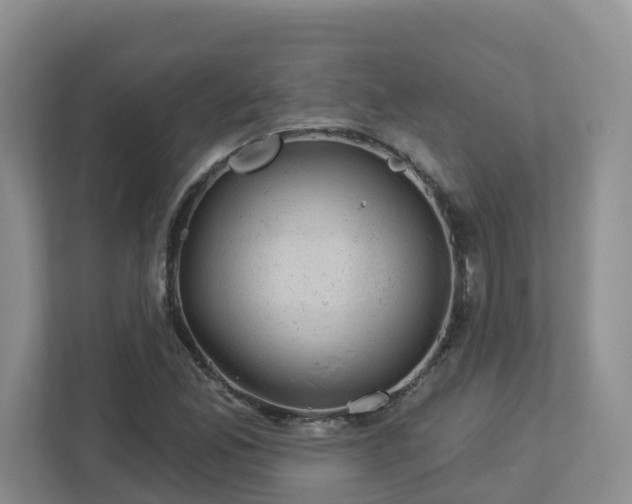 X0000112921165200908241220
