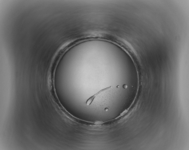 X0000112921172200908241220