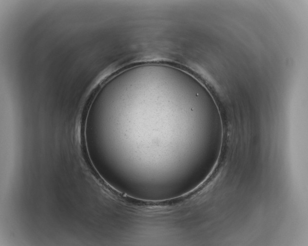 X0000112921173200908241220