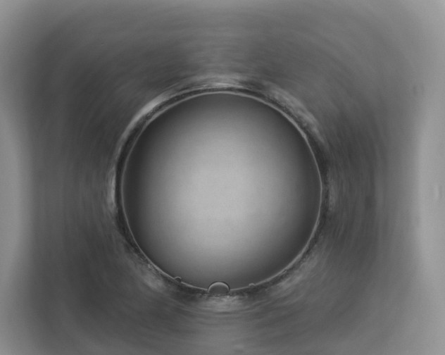 X0000112921174200908241220