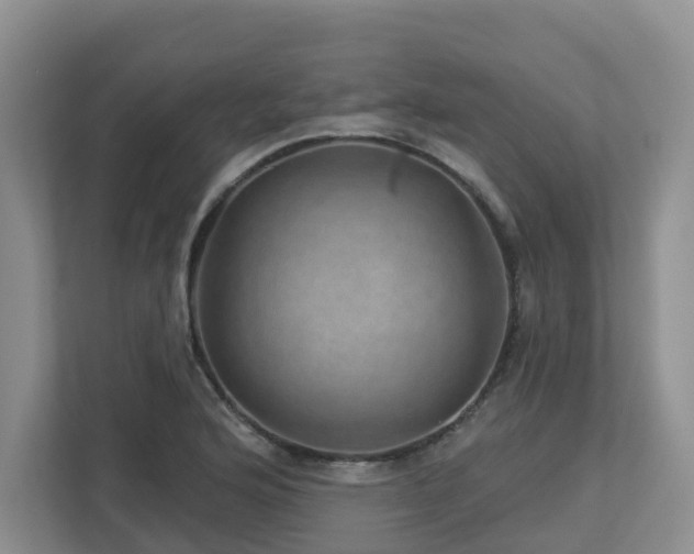 X0000112921176200908241220