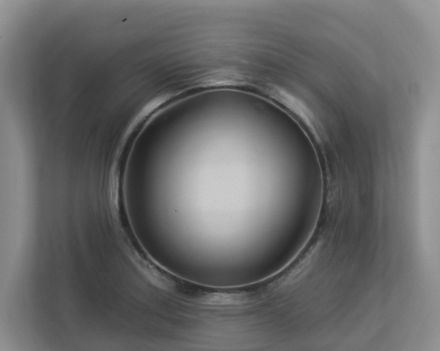X0000112921179200908241220