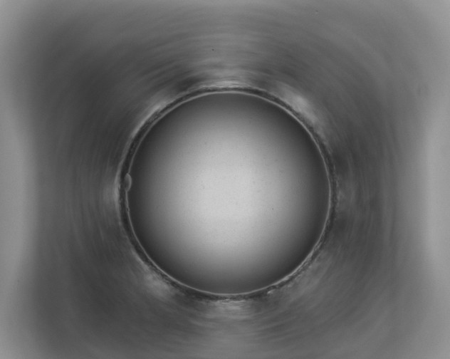 X0000112921181200908241220