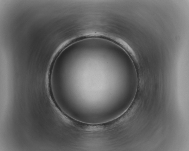 X0000112921183200908241220
