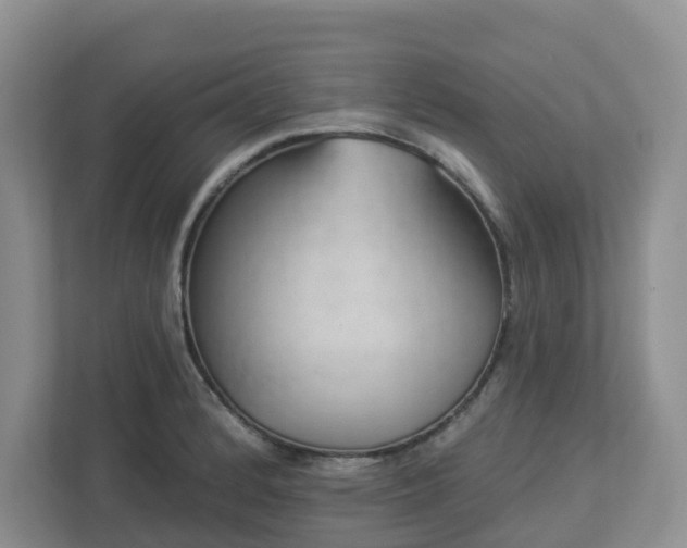 X0000112921184200908241220