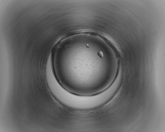 X0000112921185200908241220