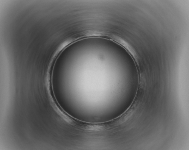 X0000112921187200908241220