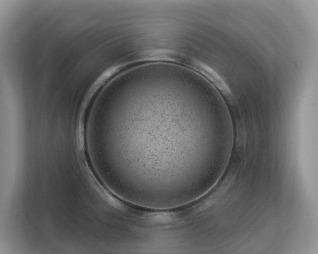 X0000112921188200908241220