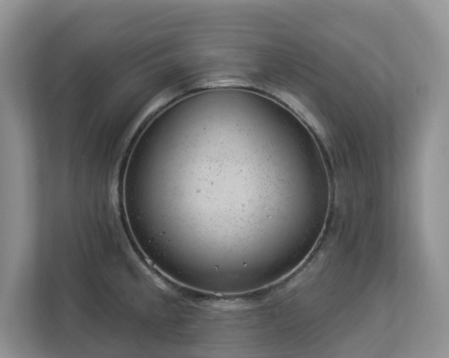 X0000112921189200908241220