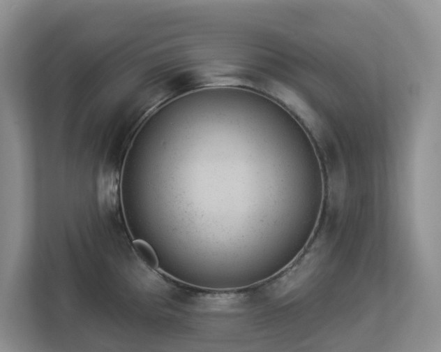 X0000112921193200908241220