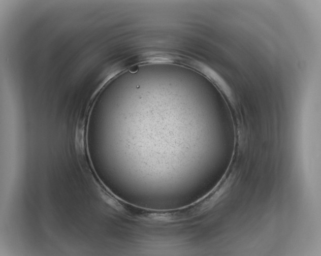 X0000112921194200908241220