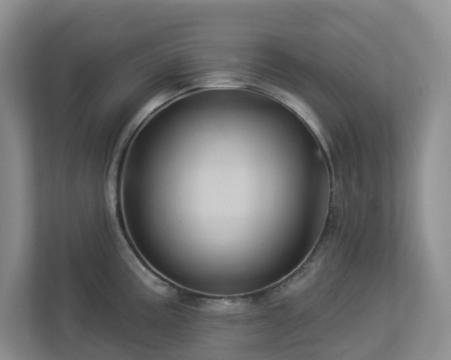 X0000112921195200908241220