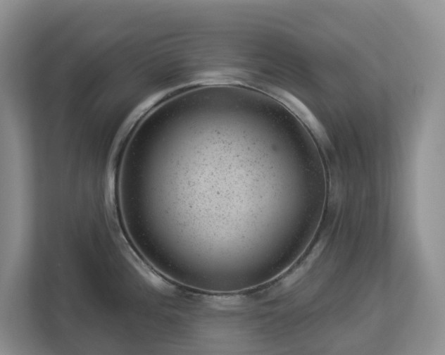 X0000112921196200908241220