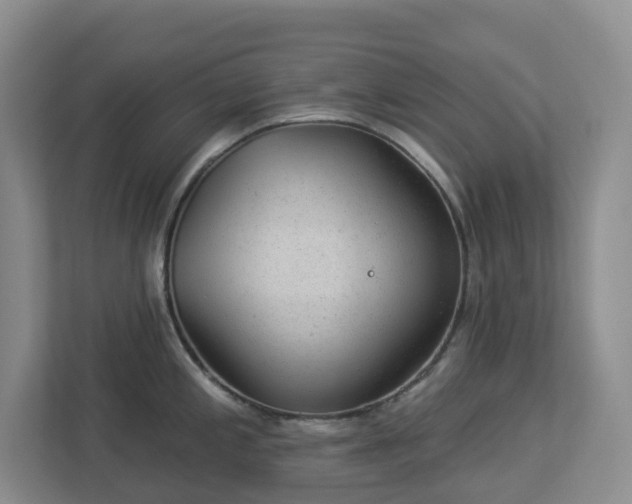 X0000112921197200908241220