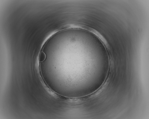 X0000112921198200908241220