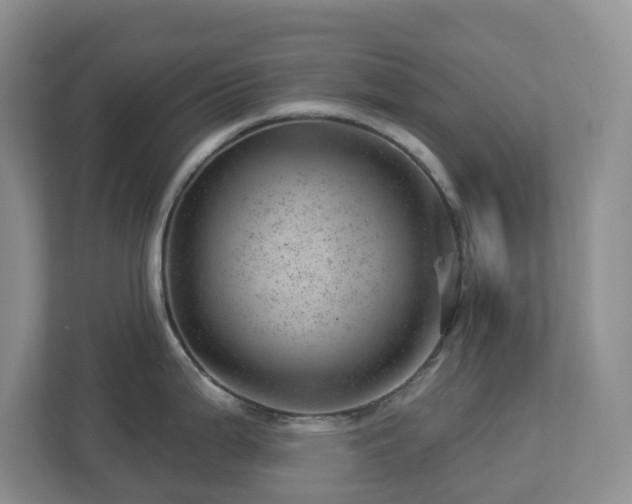 X0000112921199200908241220