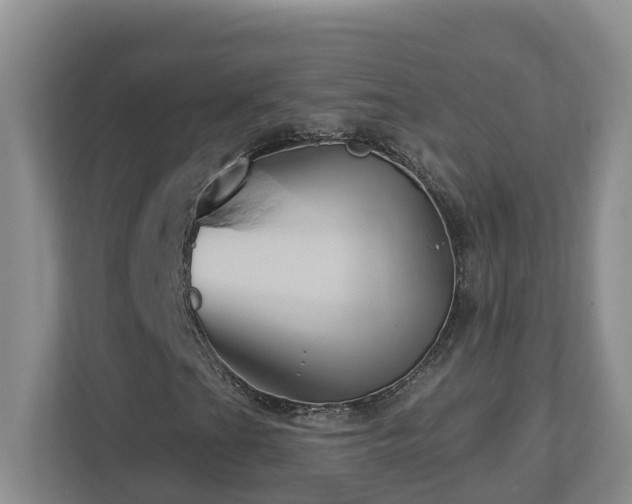 X0000112921201200908241219