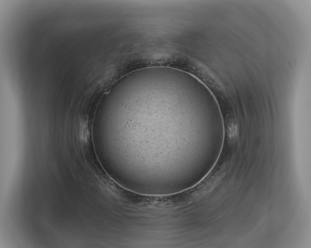 X0000112921204200908241219
